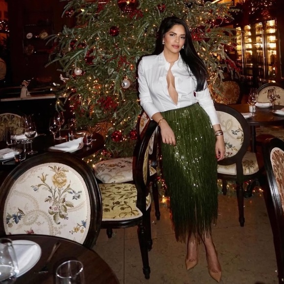 Zara Dresses & Skirts - Zara ZW COLLECTION LIMITED EDITION FRINGED SEQUIN SKIRT